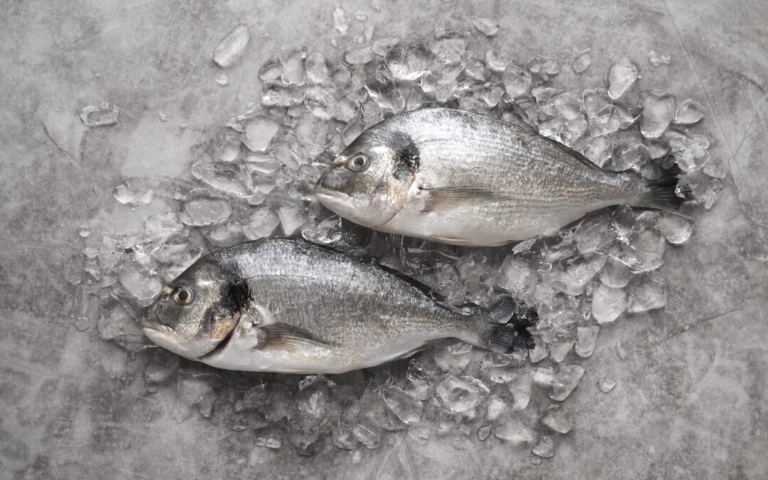 Errores más comunes en la descongelación de pescado en cocina profesional y cómo evitarlos